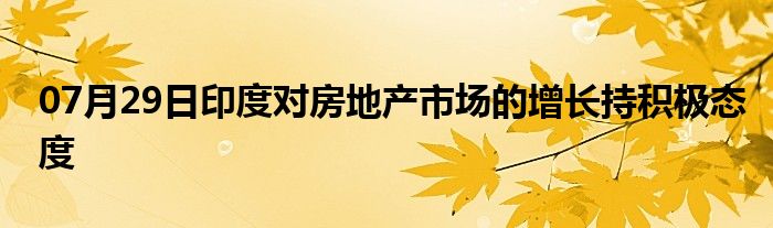 07月29日印度对房地产市场的增长持积极态度