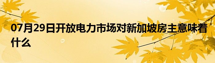 07月29日开放电力市场对新加坡房主意味着什么