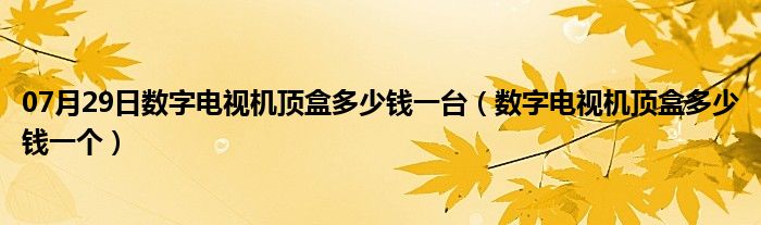 07月29日数字电视机顶盒多少钱一台（数字电视机顶盒多少钱一个）