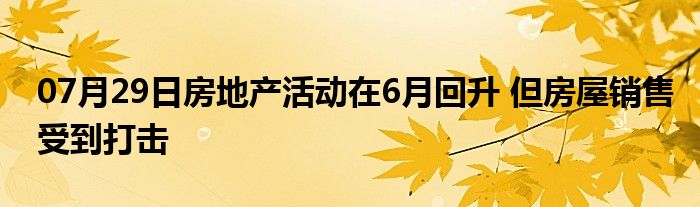 07月29日房地产活动在6月回升 但房屋销售受到打击