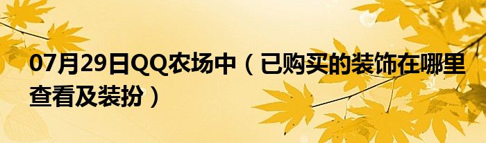 07月29日QQ农场中（已购买的装饰在哪里查看及装扮）