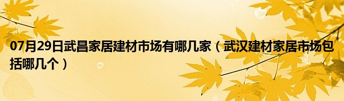 07月29日武昌家居建材市场有哪几家（武汉建材家居市场包括哪几个）