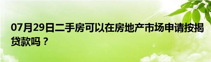 07月29日二手房可以在房地产市场申请按揭贷款吗？