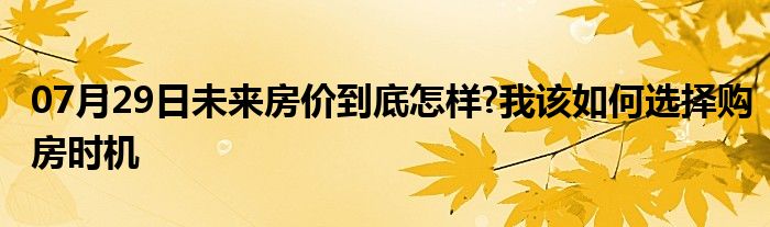 07月29日未来房价到底怎样?我该如何选择购房时机