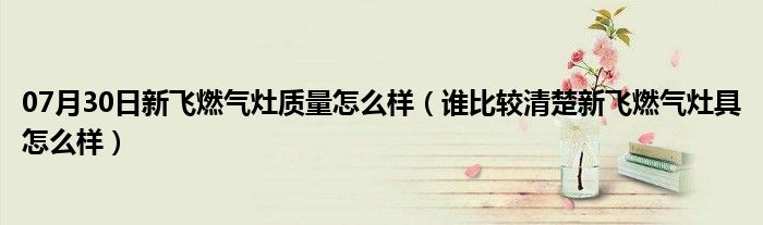 07月30日新飞燃气灶质量怎么样（谁比较清楚新飞燃气灶具怎么样）