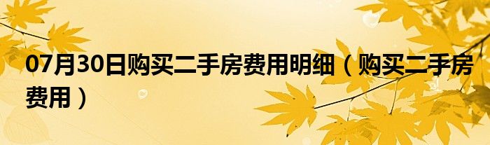 07月30日购买二手房费用明细（购买二手房费用）