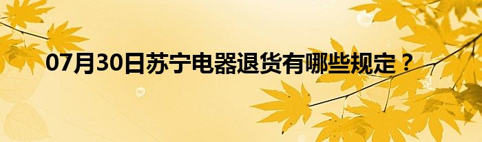 07月30日苏宁电器退货有哪些规定？