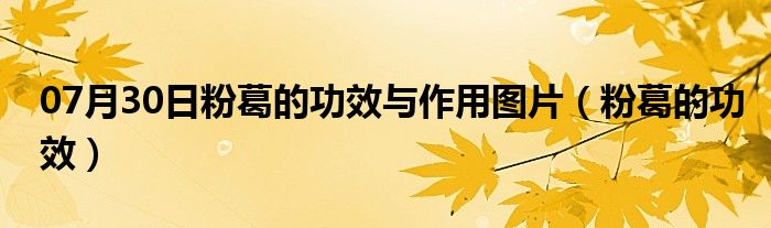 07月30日粉葛的功效与作用图片（粉葛的功效）