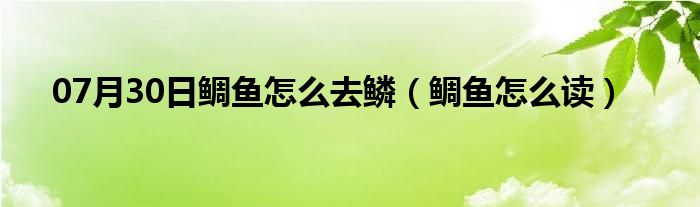 07月30日鲷鱼怎么去鳞（鲷鱼怎么读）