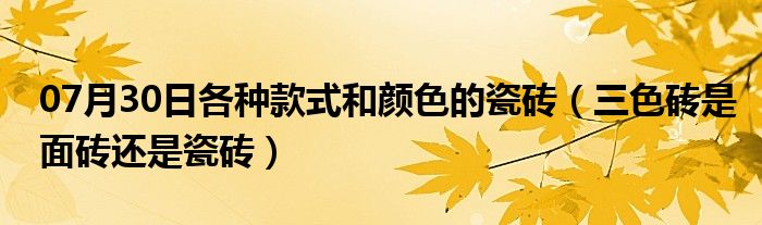 07月30日各种款式和颜色的瓷砖（三色砖是面砖还是瓷砖）