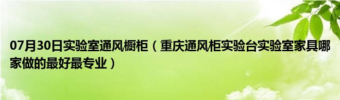 07月30日实验室通风橱柜（重庆通风柜实验台实验室家具哪家做的最好最专业）