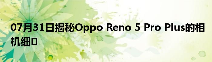 07月31日揭秘Oppo Reno 5 Pro Plus的相机细�