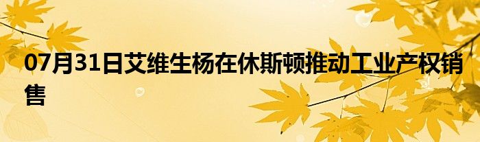 07月31日艾维生杨在休斯顿推动工业产权销售