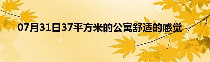 07月31日37平方米的公寓舒适的感觉