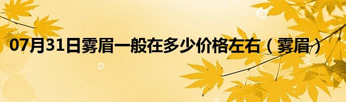 07月31日雾眉一般在多少价格左右（雾眉）