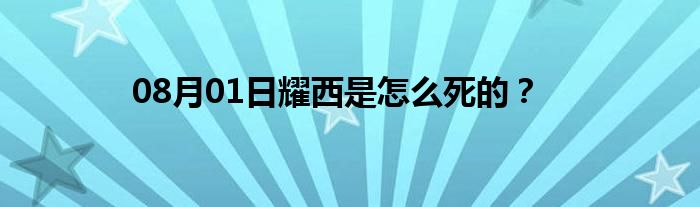 08月01日耀西是怎么死的？