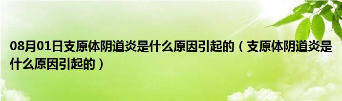 08月01日支原体阴道炎是什么原因引起的（支原体阴道炎是什么原因引起的）