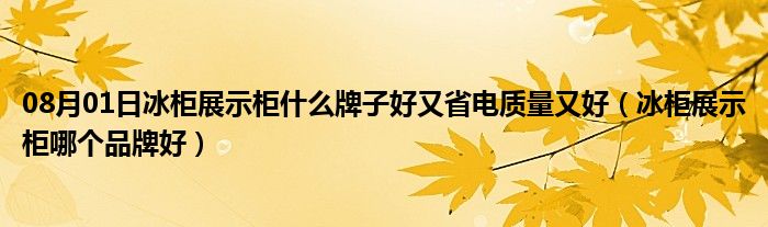 08月01日冰柜展示柜什么牌子好又省电质量又好（冰柜展示柜哪个品牌好）