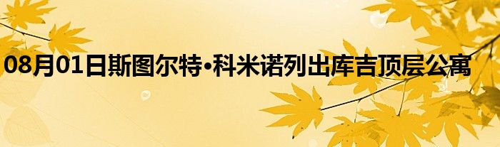 08月01日斯图尔特·科米诺列出库吉顶层公寓