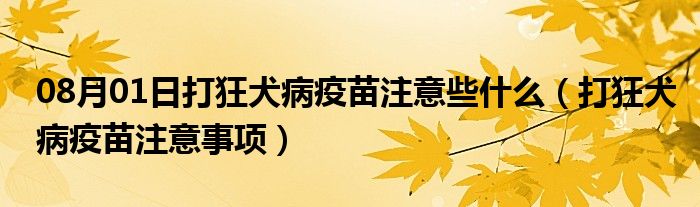 08月01日打狂犬病疫苗注意些什么（打狂犬病疫苗注意事项）