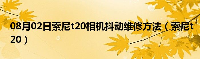 08月02日索尼t20相机抖动维修方法（索尼t20）