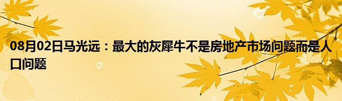 08月02日马光远：最大的灰犀牛不是房地产市场问题而是人口问题