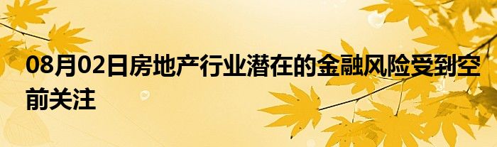 08月02日房地产行业潜在的金融风险受到空前关注