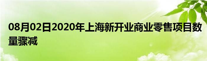 08月02日2020年上海新开业商业零售项目数量骤减