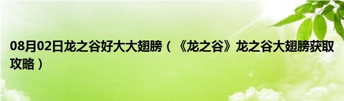 08月02日龙之谷好大大翅膀（《龙之谷》龙之谷大翅膀获取攻略）