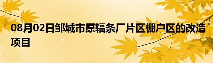 08月02日邹城市原辐条厂片区棚户区的改造项目