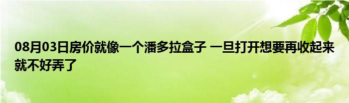 08月03日房价就像一个潘多拉盒子 一旦打开想要再收起来就不好弄了