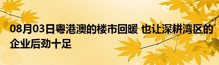 08月03日粤港澳的楼市回暖 也让深耕湾区的企业后劲十足