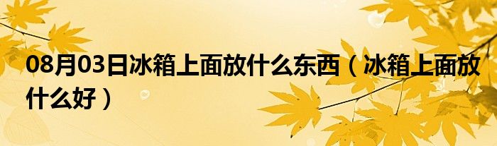 08月03日冰箱上面放什么东西（冰箱上面放什么好）