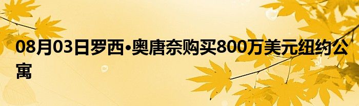 08月03日罗西·奥唐奈购买800万美元纽约公寓