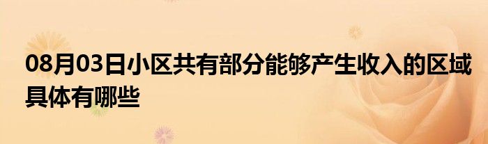 08月03日小区共有部分能够产生收入的区域具体有哪些