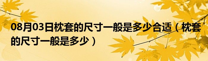 08月03日枕套的尺寸一般是多少合适（枕套的尺寸一般是多少）