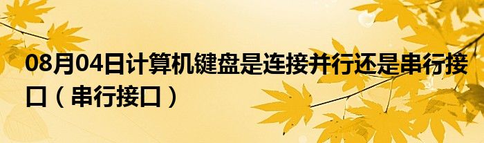 08月04日计算机键盘是连接并行还是串行接口（串行接口）