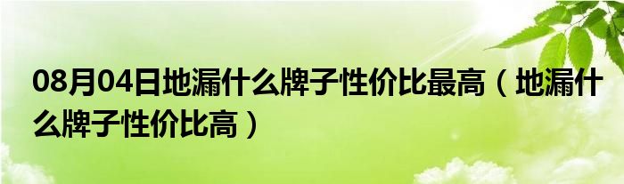 08月04日地漏什么牌子性价比最高（地漏什么牌子性价比高）