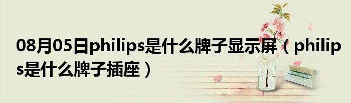 08月05日philips是什么牌子显示屏（philips是什么牌子插座）