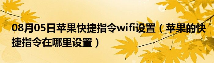 08月05日苹果快捷指令wifi设置（苹果的快捷指令在哪里设置）