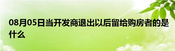 08月05日当开发商退出以后留给购房者的是什么