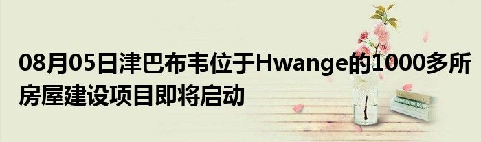 08月05日津巴布韦位于Hwange的1000多所房屋建设项目即将启动