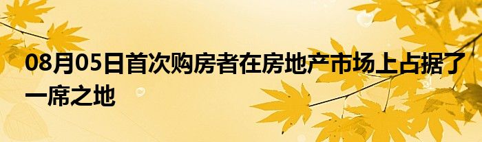 08月05日首次购房者在房地产市场上占据了一席之地