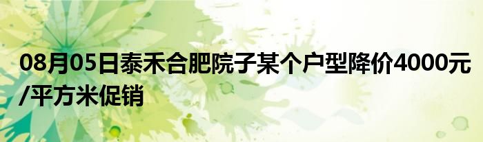 08月05日泰禾合肥院子某个户型降价4000元/平方米促销