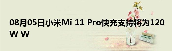 08月05日小米Mi 11 Pro快充支持将为120W W