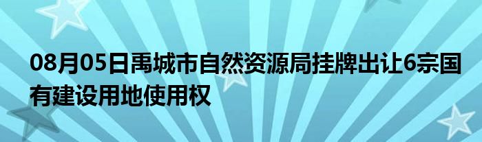 08月05日禹城市自然资源局挂牌出让6宗国有建设用地使用权