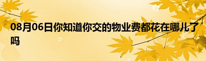 08月06日你知道你交的物业费都花在哪儿了吗