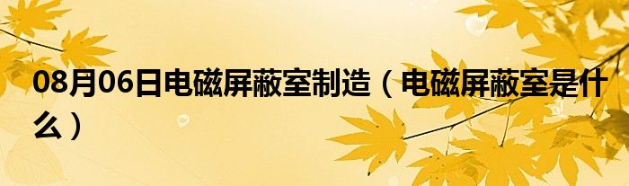 08月06日电磁屏蔽室制造（电磁屏蔽室是什么）