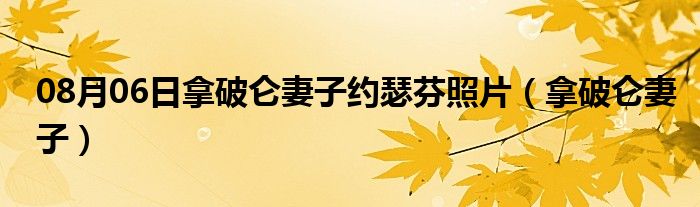 08月06日拿破仑妻子约瑟芬照片（拿破仑妻子）