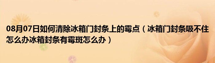 08月07日如何清除冰箱门封条上的霉点（冰箱门封条吸不住怎么办冰箱封条有霉斑怎么办）